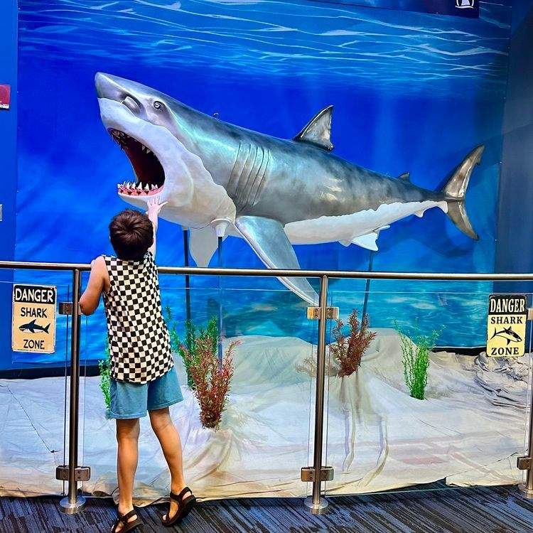 Family Adventure in Salt Lake City: Things to Do with Kids