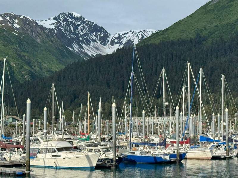 Harbor with sailboats in the water and mountains behind them some with snow-capped tops