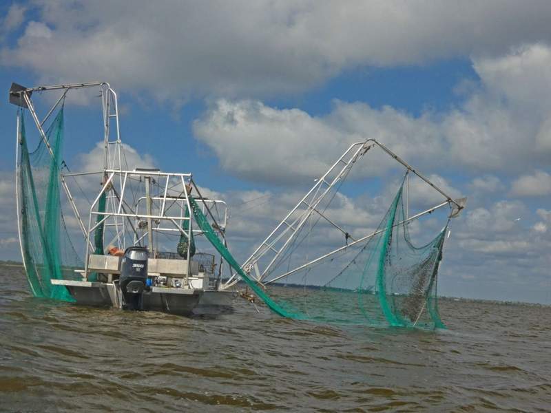 Explore Louisiana’s Great River Road