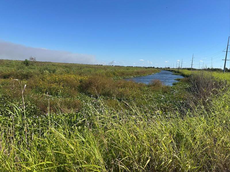 The marsh area along the three mile loop at Pintail Drive near Lake Charles, LA.