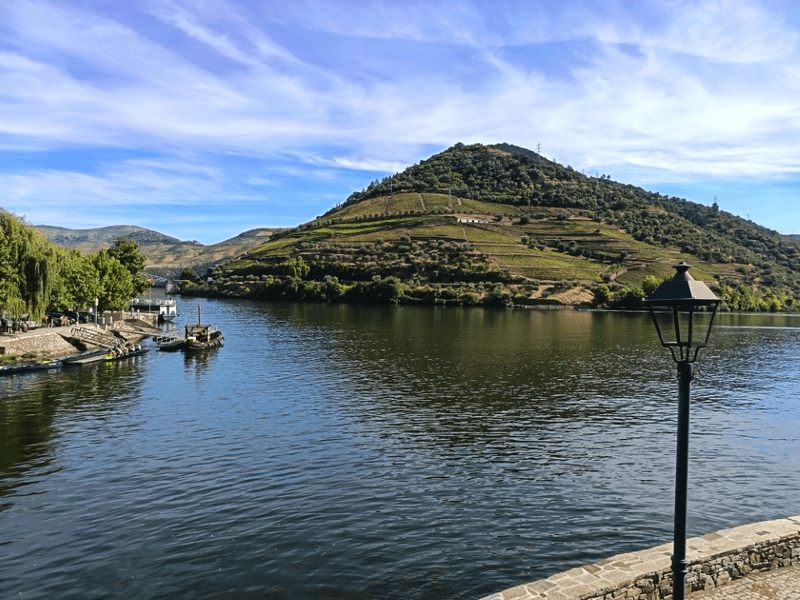 View of the Douro River from Pinhão with cruises and vineyards.