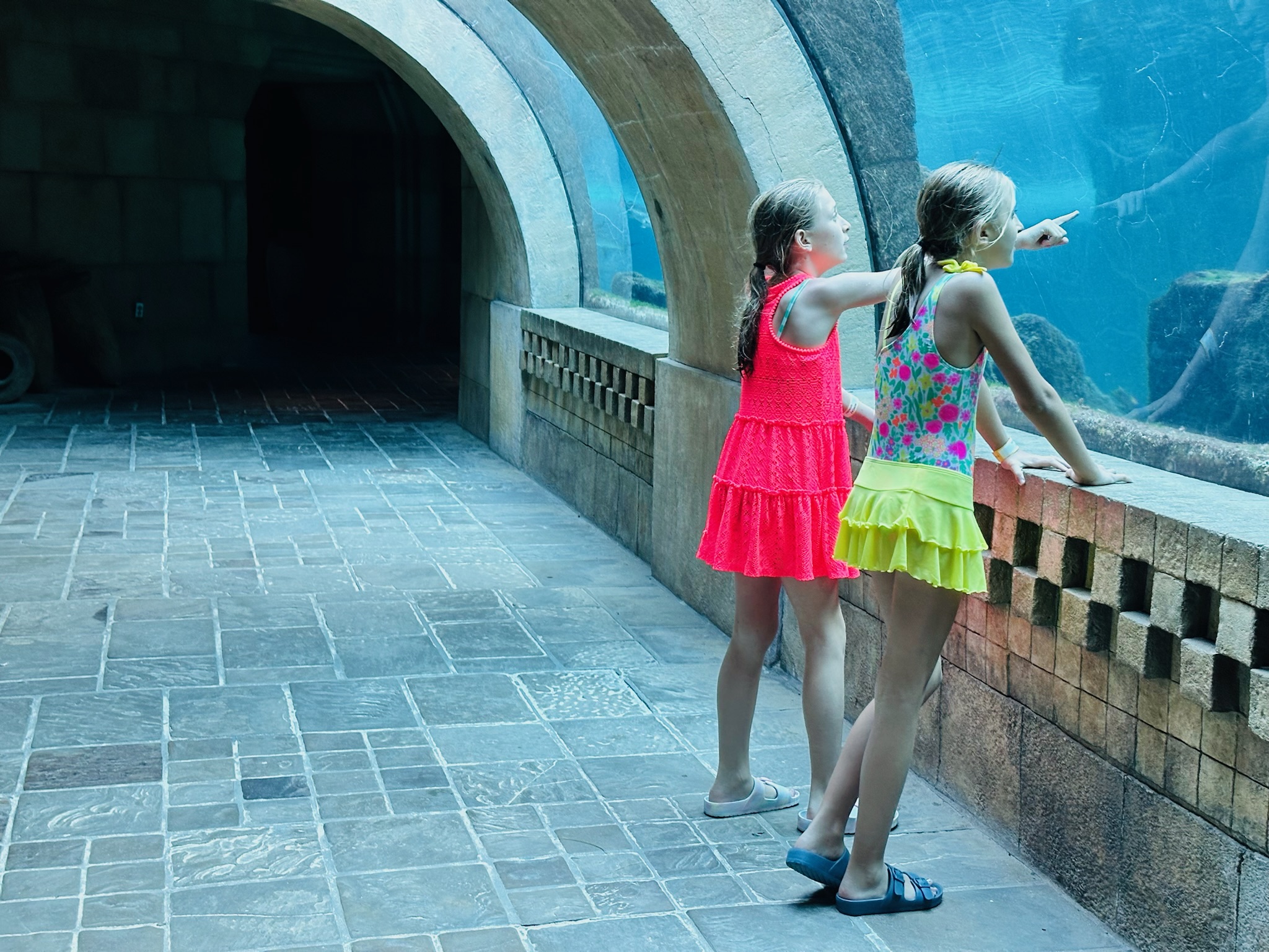 Family-Friendly Things to Do in Atlantis: Aquaventure Water Park and Beyond!