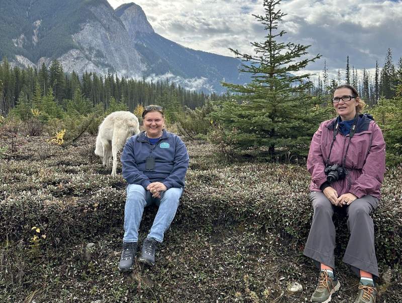 A wolfe behind two women at the Northern Lights Wildlife Wolf Centre in British Columbia. 
