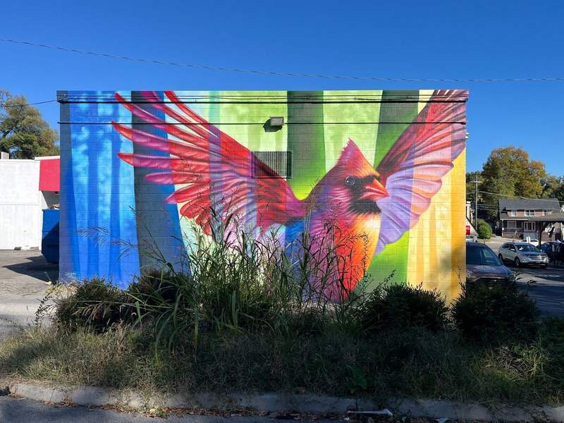 A mural of a red cardinal covers entire wall of building with blue sky in the background. 