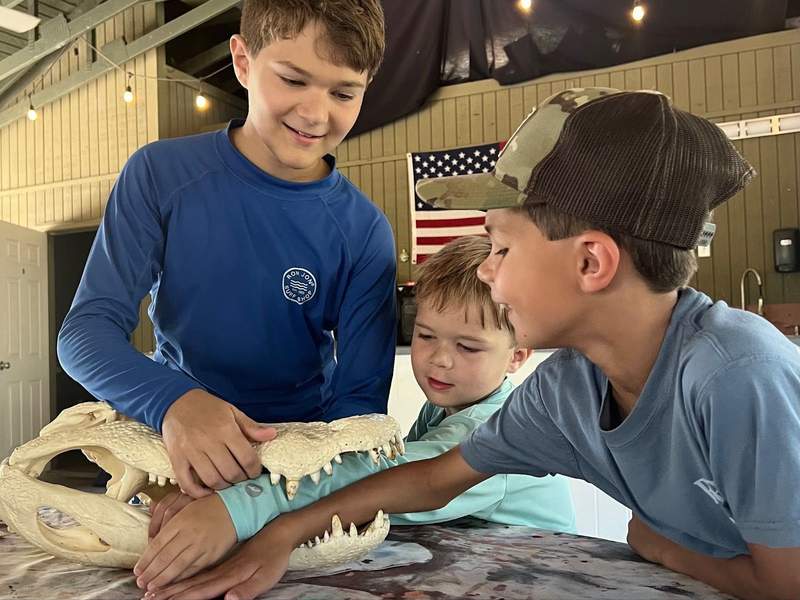 Learning about gators in Fripp Island Gatorology