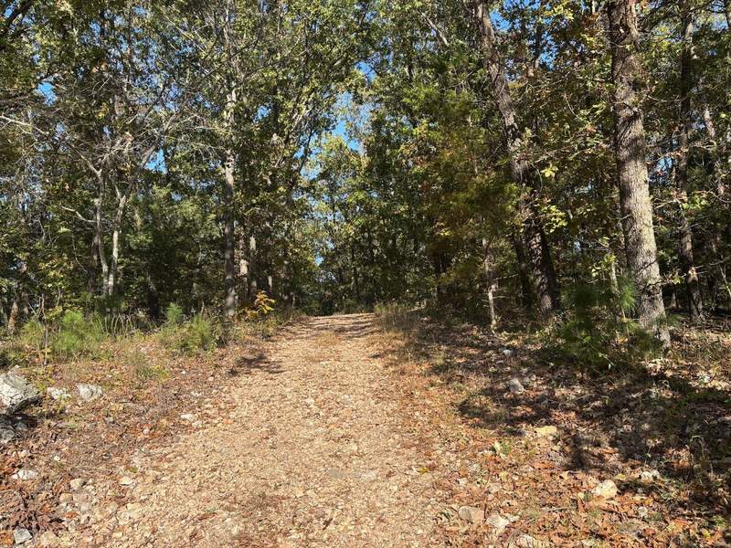 Experience nature up close by hiking at Dogwood Canyon