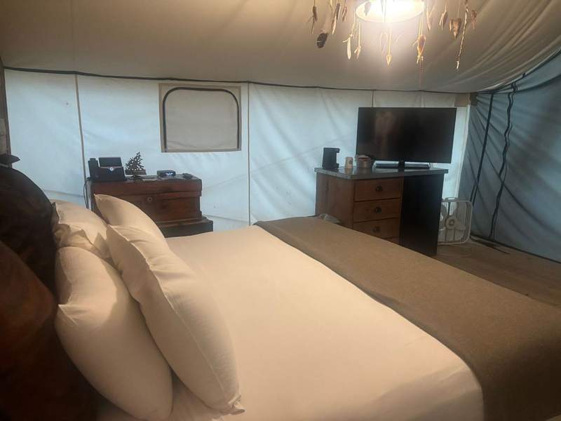 A king sized bed in the roomy glamping tent