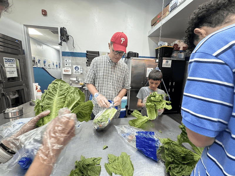 Father and son shredding lettuce to feed to manatees in Puerto Rico.