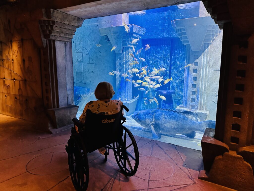 A woman in a wheelchair sits looking at an aquarium display of fish at Atlantis Bahamas.