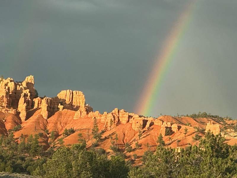 A colorful rainbow lights up the red rocks of Utah's landscape. Red rocks and green trees are in the foreground and a rainbow is in the sky above.
