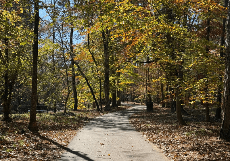 Paved trail at Jemison Park Nature trail in fall when leaves are changing colors. 