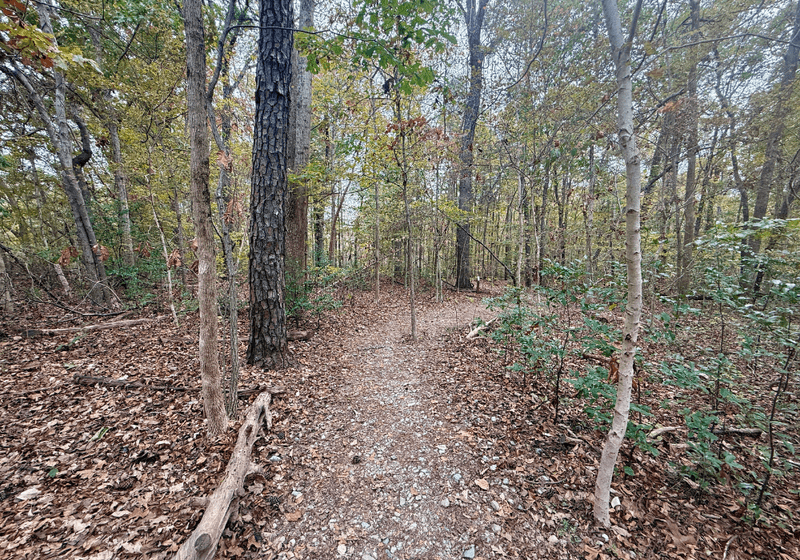 Nature trail at Moss Rock Preserve in Hoover. 