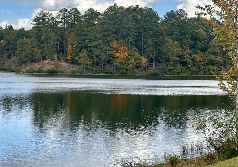 Lake surrounded by trees at Oak Mountain State Park. 