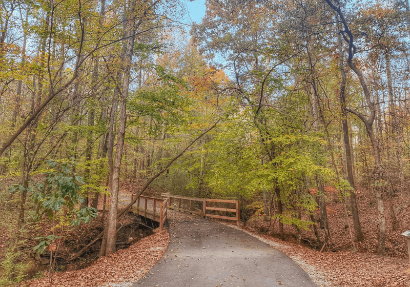 Path along the Hillsboro Trail in Helena, Alabama.