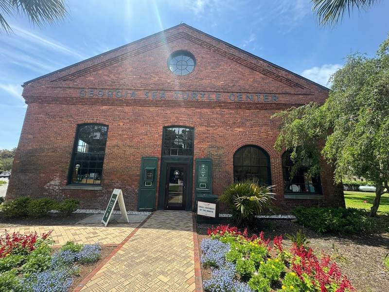 the Georgia Sea Turtle Center