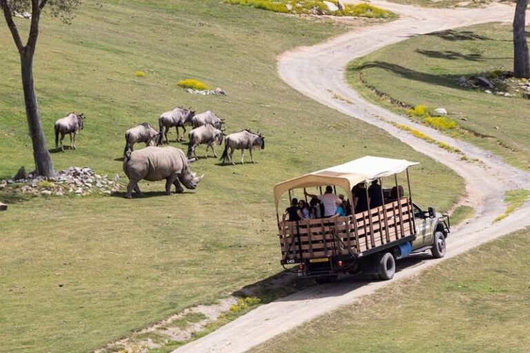 Open air truck touring the savannah at the San Diego Zoo.