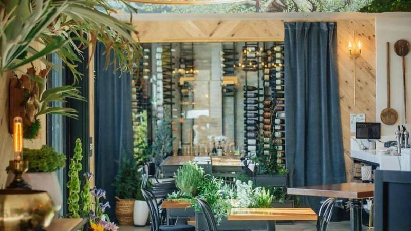 A plant filled interior with a wall of wine bottles at Goat and Vine in Temecula.