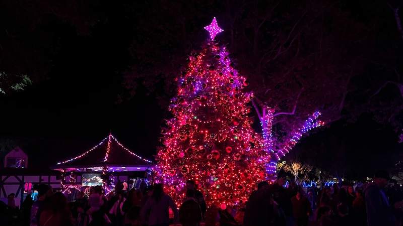 tall christmas tree in the dark with red lights illuminated with people standing around during Solvang Julefest