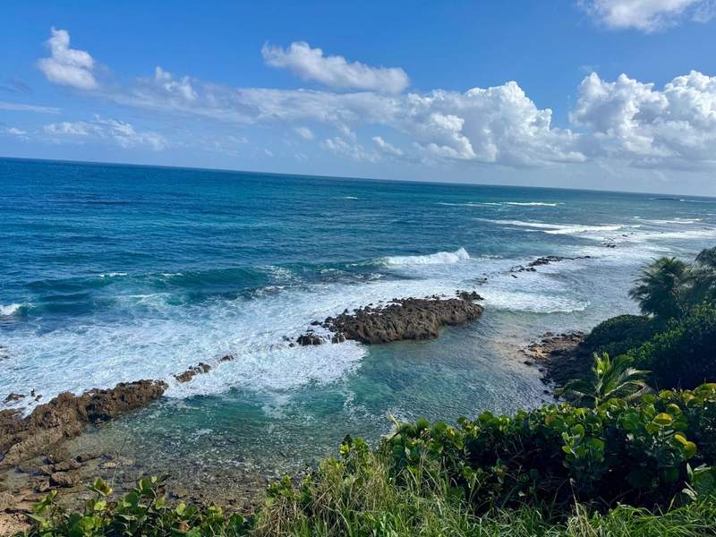 A Food Lover’s Guide to the Best Puerto Rican Dishes, Street Bites and Iconic Drinks