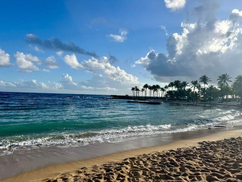 The blue-green Atlantic waves on a sandy beach with palm trees
