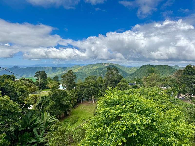 Lush green mountains and palm trees with a blue sky