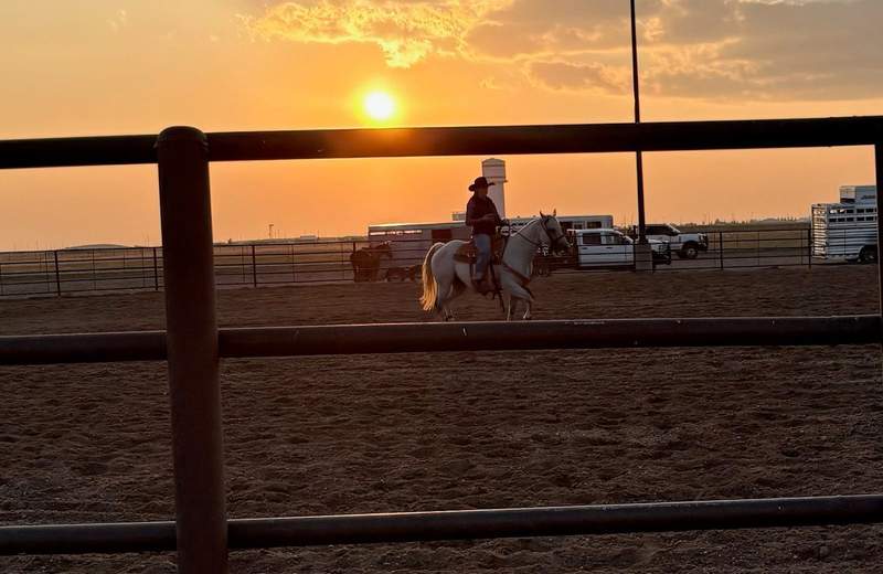 A cowboy on a horse riding in the grass with a sunset in the background.