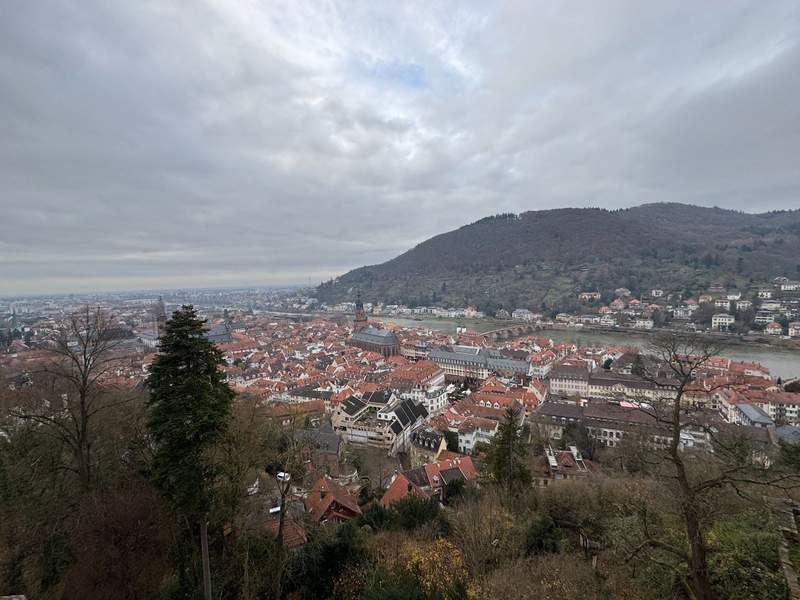 An overhead view of surrounding Heidelberg from Heidelberg Castle.