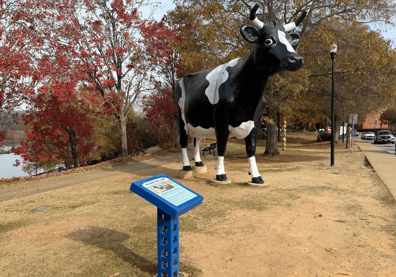 Statue of a large black and white cow sitting in front of the river.