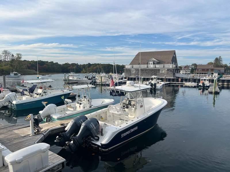 Amazing views outside the Waterside Cottage.