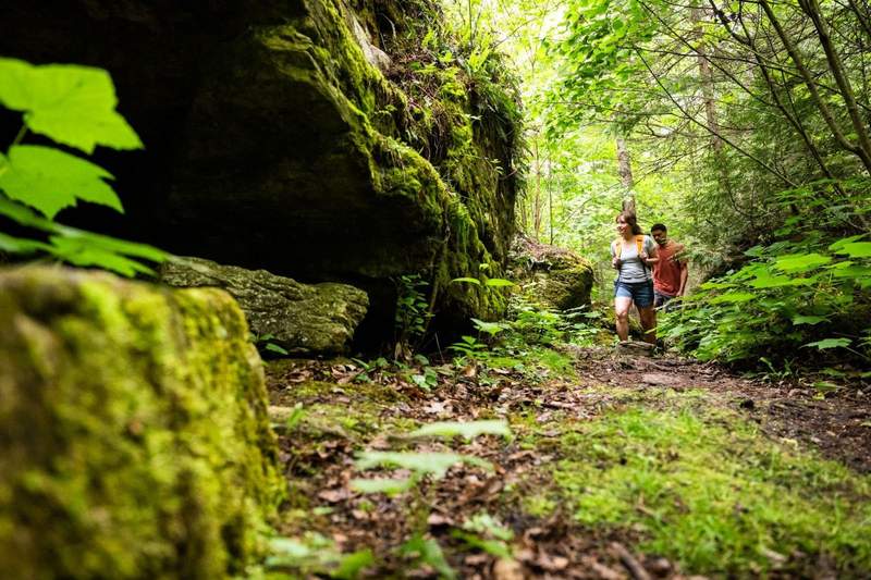 Couple hiking through the forest