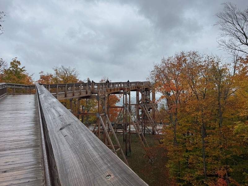 Wooden ramp leading to an overlook