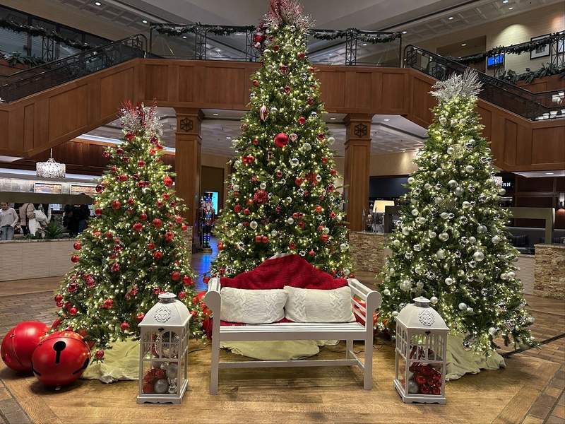 A bench with two lanterns beside it in front of three decorated Christmas trees.
