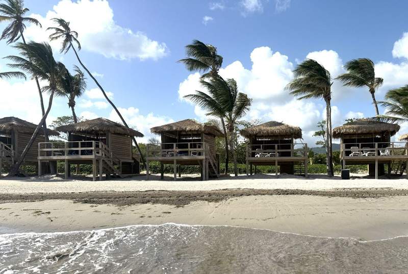 Row of four wooden beach cabanas on stilts at a beach with palm trees blowing in the wind.