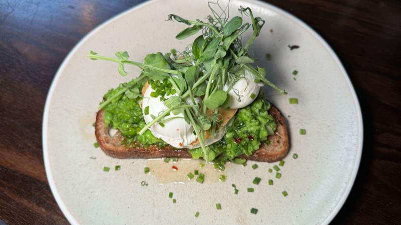 Piece of toast on a big plate with green pea mash topped with egg and micro greens. 