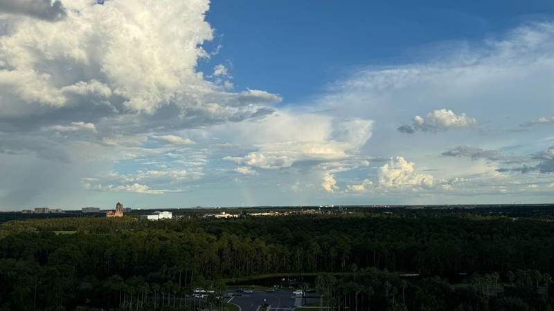 A blue sky with trees and views of Tower of Terror. 