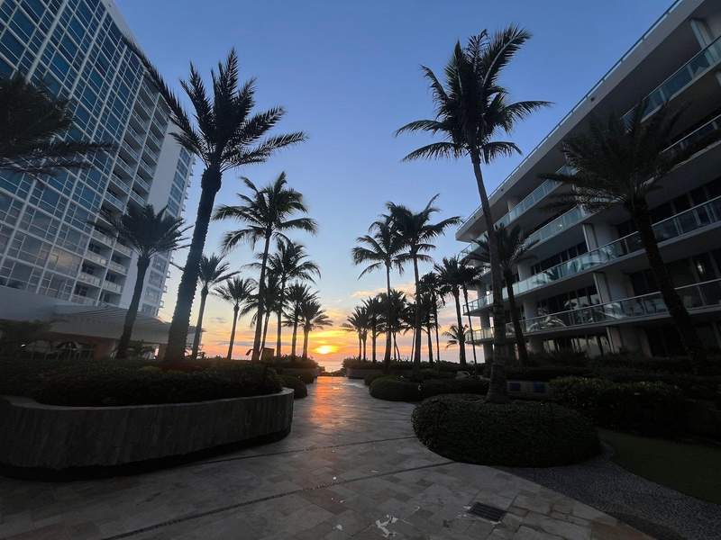 Sunset over the Atlantic Ocean in Miami Beach Florida. The sky is shades of blue pink and orange and the light peeks through palm trees.