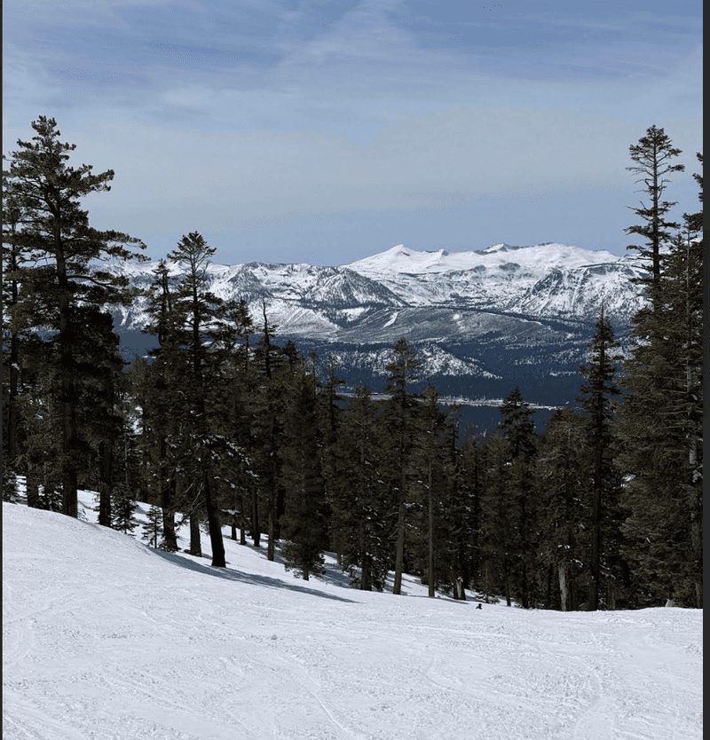 Mountain slopes with trees and views of more snow covered mountains in the background