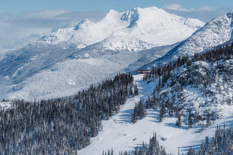 Ski slopes amid treed mountains