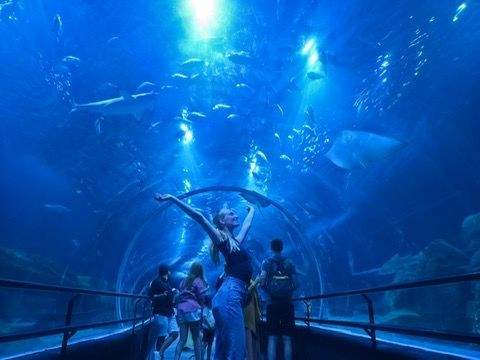 Author standing inside a blue lit aquarium tunnel at AquaRio in Rio de Janeiro with fish and sharks swimming overhead as visitors walk through.