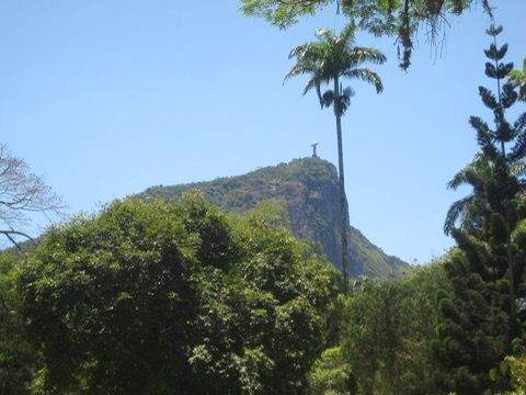 View of Christ the Redeemer statue in Rio de Janeiro seen from below framed by tall palm trees and lush greenery.