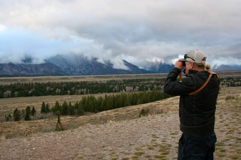 Guide looking at the Grand Teton National Park for wildlife with binoculars. 