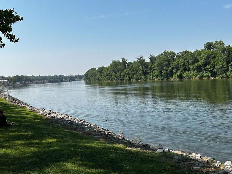 A river with trees on the opposite side. 