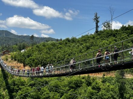 Best Places to Visit in Tennessee: The 19 Destinations I Recommend