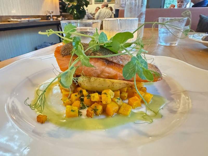 Salmon and butternut squash at Poppy in Sonoma CA