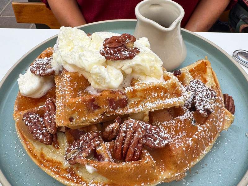 Giant pecan Belgian waffle at Sunflower Cafe in Sonoma CA.