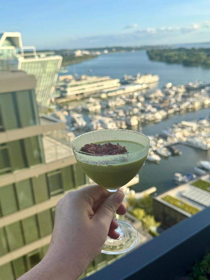 A person holding out a glass of green drink while overlooking the city of DC from Moonraker. 