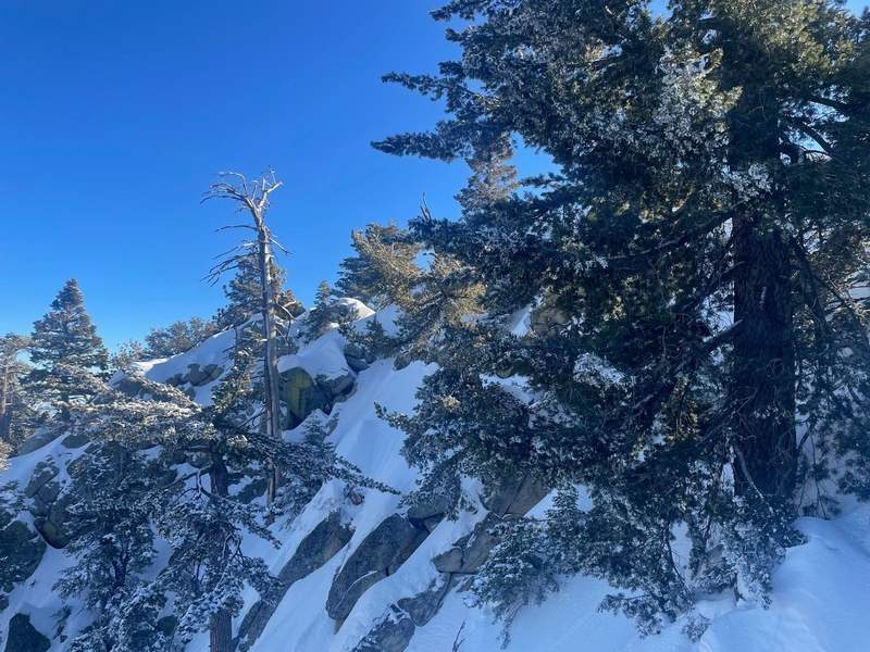 Snowy scene atop Mount San Jacinto