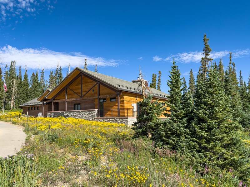 Log building with a profusion of yellow flowers in the foreground and cloud studded deep blue sky.