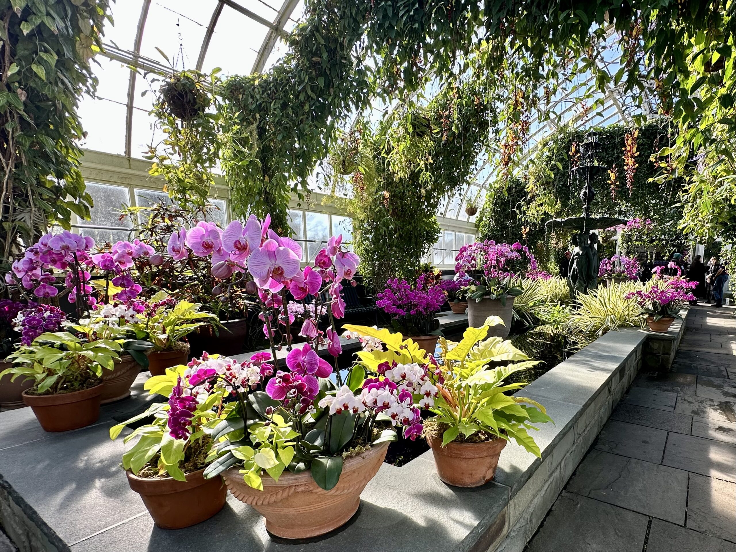 Why the NYBG Orchid Show Is the Ultimate Escape for You and Your Plant-Obsessed Bestie