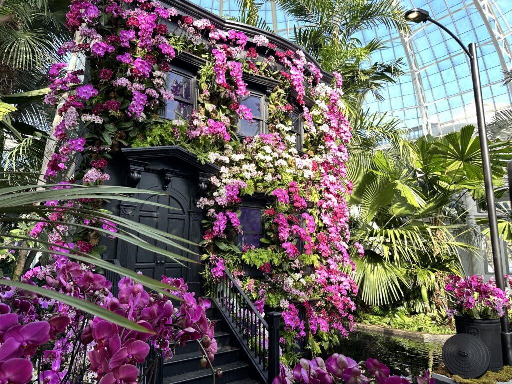 NYC brownstone covered in purple orchids for the 2026 NYBG Annual Orchid Show
